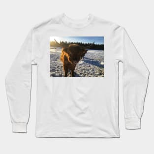 Scottish Highland Cattle Bulls 1938 Long Sleeve T-Shirt